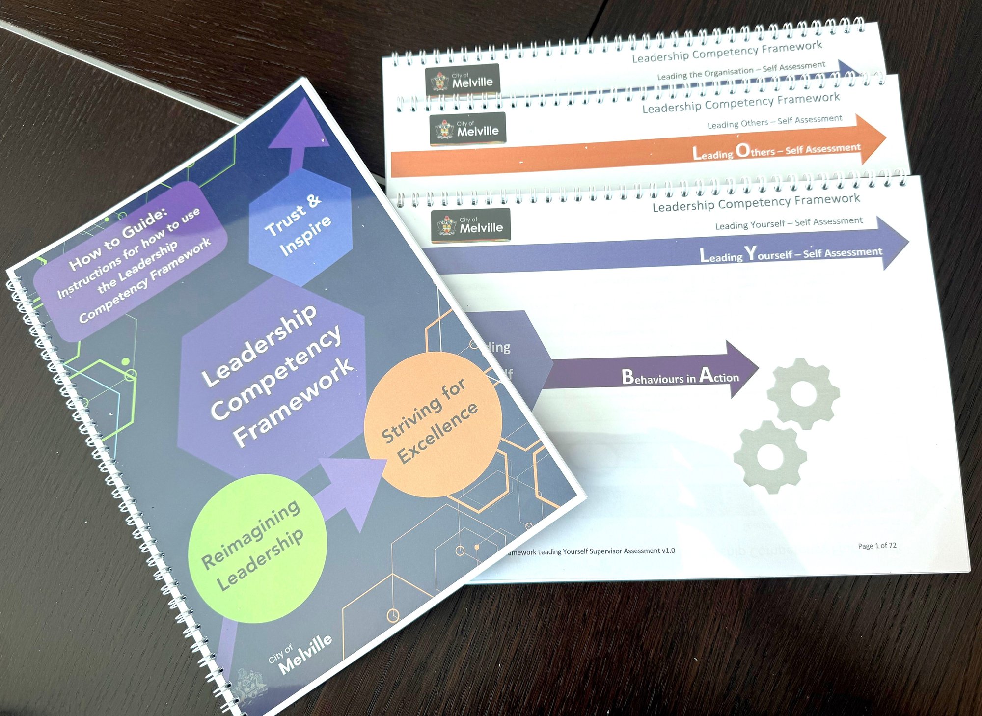 Leadership Competency Framework edited