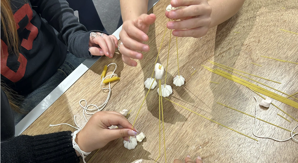 school-based-public-sector-traineeship-wa-certificate-ii-government